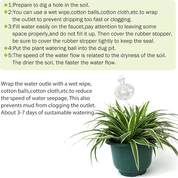 3 PCS Top-Fill Self Watering Globes, Automatic Plant Watering Devices, Transparent Self Watering Planter Insert, Durable Clear Glass Aqua Bulbs for Indoor, Cactus Shape, & Funnel