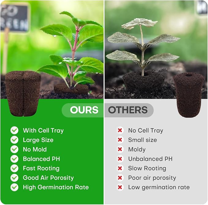 40 Pcs Grow Sponges with Tray, Plant Starter Plugs for Cuttings, Great for Soil, Tray or Planting Pods Plant Rooter, Promotes Herbs, Vegetables and Flowers Growth