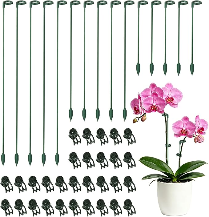 LUCKJUJU 30 Pcs Plant Support Stakes with 30 Pcs Plant Clips Garden Floral Flower Support Single Stem Support Stake for Phalaenopsis Orchid Flower Roses Amaryllis