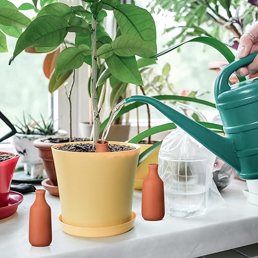 DoubleFill 2 Pcs 24oz Ollas Terracotta Watering Pots Self Watering Planter Insert Terracotta Globes Clay for Outdoor Indoor Garden Plants, Easy to Refill