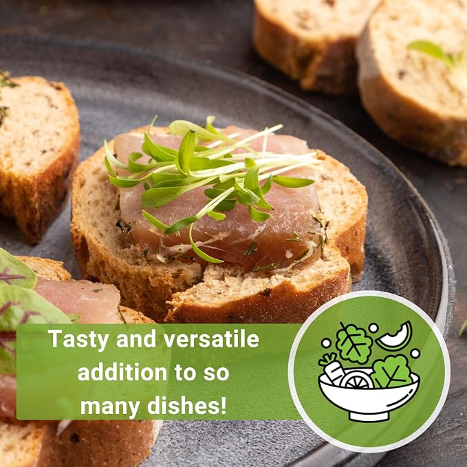 Sow Right Seeds - Cilantro Microgreen Seed for Growing - Instructions to Quickly Grow Your Own Delicious and Healthy Microgreens - Plant Indoors with no Special Equipment - Minimum of 15g per Packet