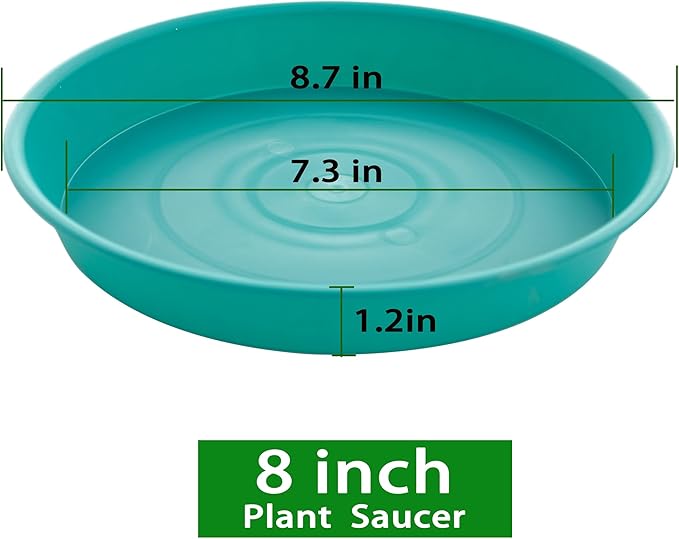 2 Pack of 8 inch Plant Saucer Clear, Heavy Duty Plastic Plant Water Tray 8 inch Round, Flower Plant Saucers for Indoors No Holes, Plant Dishes Saucer for Planter 7"/8" (8", Teal)