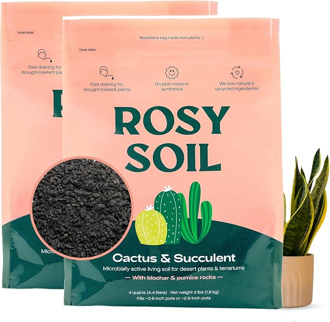 Rosy Soil Cactus Soil – Organic Succulent Potting Mix, Chunky Fast Draining, Peat-Free, Root Boosting Mix for AloeVera, Cacti, Indoor Succulents - 4qt, Pack of 2
