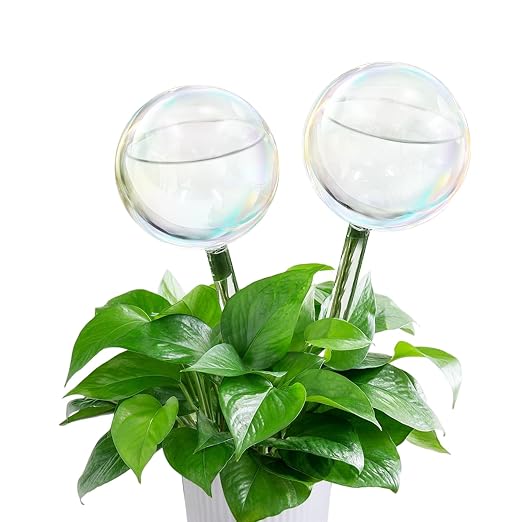 2 Pcs Glass Self Watering Globes, Iridescent Automatic Plant Waterer Bulbs Devices for Indoor & Outdoor Plants, Slow Release Watering Devices System for Various Plants