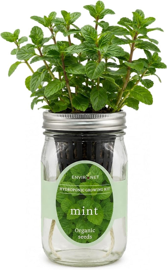 Hydroponic Herb Growing Kit, Self-Watering Mason Jar Herb Garden Starter Kit Indoor, Window Herbs Garden, Grow Your Own Herbs from Organic Seeds (Mint)