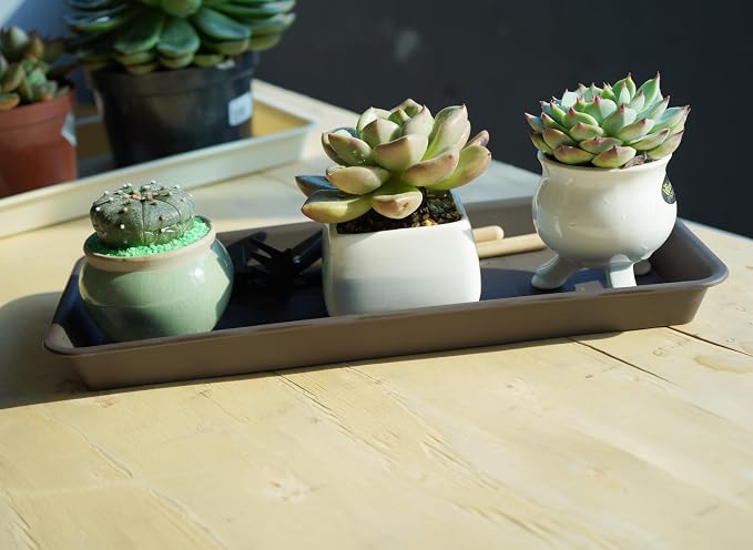 VUWEZ 6 Pack Rectangular Plastic Plant Tray Saucer, Brown, 6 x 11 Inch, Modern Style, Durable, For Indoors & Outdoors, Protects Floor from Water, Fits Most Windowsills