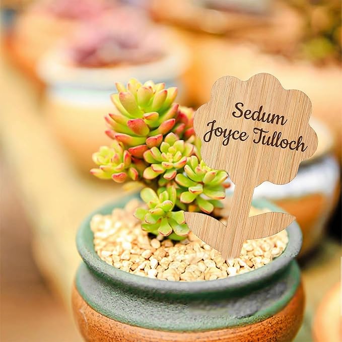 Elsjoy 90 Pack 9 Styles Bamboo Plant Labels, Wood Plant Name Stakes Seedling Label Sticks, Garden Plant Tags for Indoor & Outdoor Plants