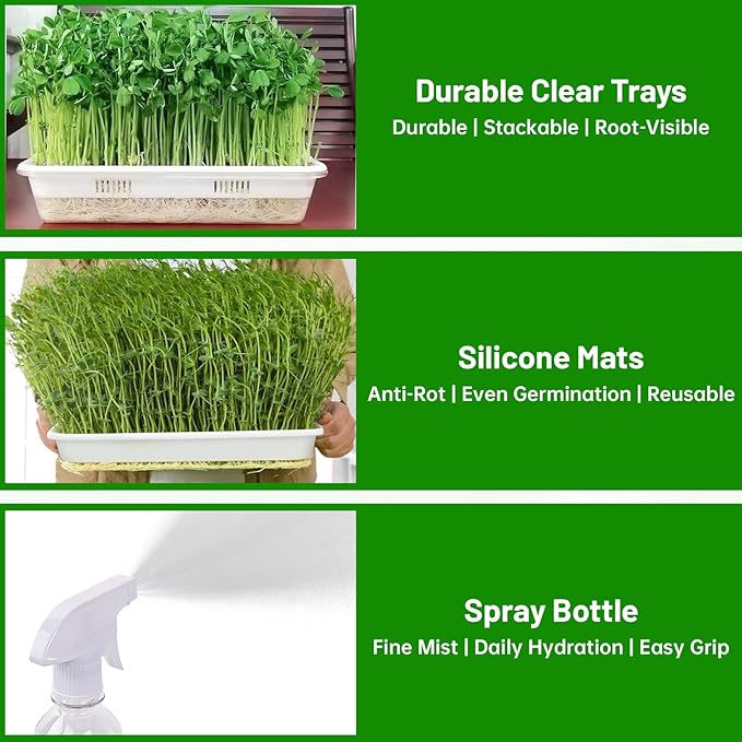 Acrylic Microgreens Growing Trays 3-Pack – Clear Hydroponic Seed Starter Kit with Silicone Mats & Spray Bottle – Reusable Plant Germination Trays for Vegetables, Wheatgrass, Cat Grass – Indoor Garden
