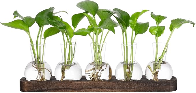YIBOT Propagation Vases for Plants Terrarium with Wooden Tray,5 Glass Vases | Tabletop Plant Terrarium for Propagating Hydroponic, Retro Glass Planter Flower Vase Home Kitchen Office Decor Gifts