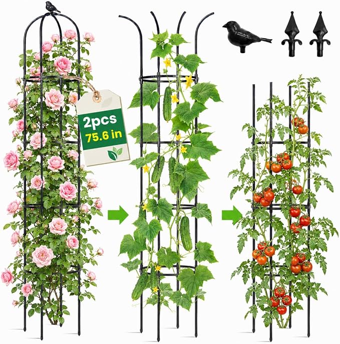 OTOSUNNY 2 Pack Garden Obelisk Trellis for Climbing Plants Outdoor, 6.3 ft Tall Metal Garden Trellis for Roses Clematis Cucumber Vines, Plant Support Tower for Pots Patio Yard, Black
