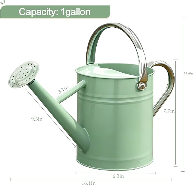 Metal Watering Can for Outdoor and Indoor Plants, Watering Can Decor, 1 Gallon (Cream Green)