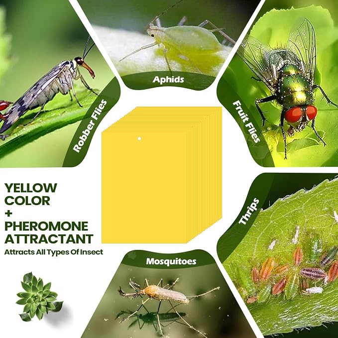 Qualirey 25 Pcs 6x8 Inch Yellow Sticky Traps for Gnats, Dual-Sided Sticky Gnat Traps for Indoor Outdoor Plants, Pest Control for Fungus Gnats, Fruit Flies, Whiteflies with Twist Ties