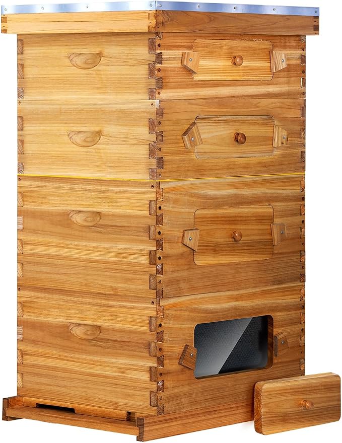 BeeCastle 10 Frame Langstroth Bee Hive with Windows Beeswax Coated Includes Beehive Frames and Waxed Foundations (2 Deep Beehive Boxes & 2 Medium Bee Boxes)