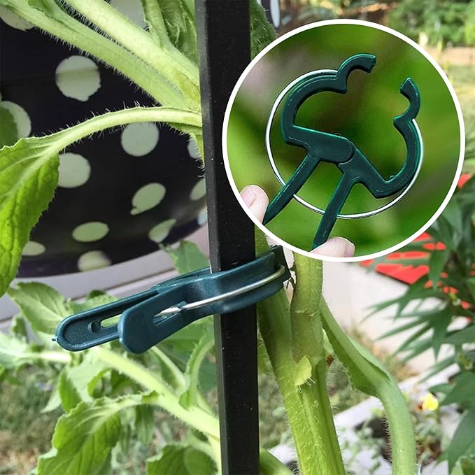 A Plant Clamp Used for Climbing Plants,Horticultural Clip Used to Support Climbing of Flower Stems, Vines, Vegetables, and Tomatoes,Vine Clip for Garden Vine Training(Green, 60 Small)