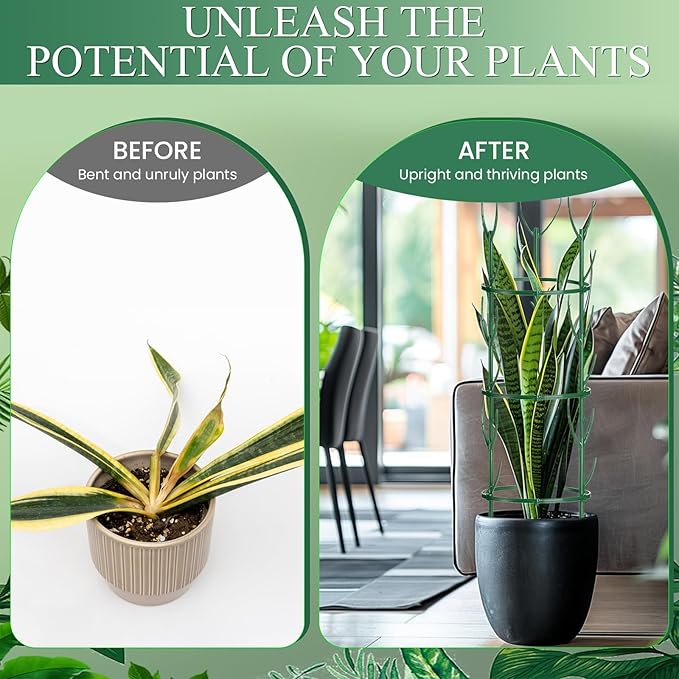 18 Pack Plant Support Stakes & Plant Cage Support Rings, Plant Stakes for Indoor Plants, Stackable Garden Flower Support for Potted Plants, Succulents, Aloe, Small Plants