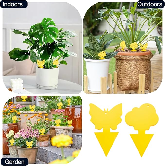 100 Pcs Sticky Traps for Fungus Gnat (Plants), Fruit Fly, Whitefly, and Fly, Yellow Sticky Insect Catcher Traps for Indoor/Outdoor, Kitchen, and Plants, High-End Glue, Non-Toxic (100 Pcs Yellow)