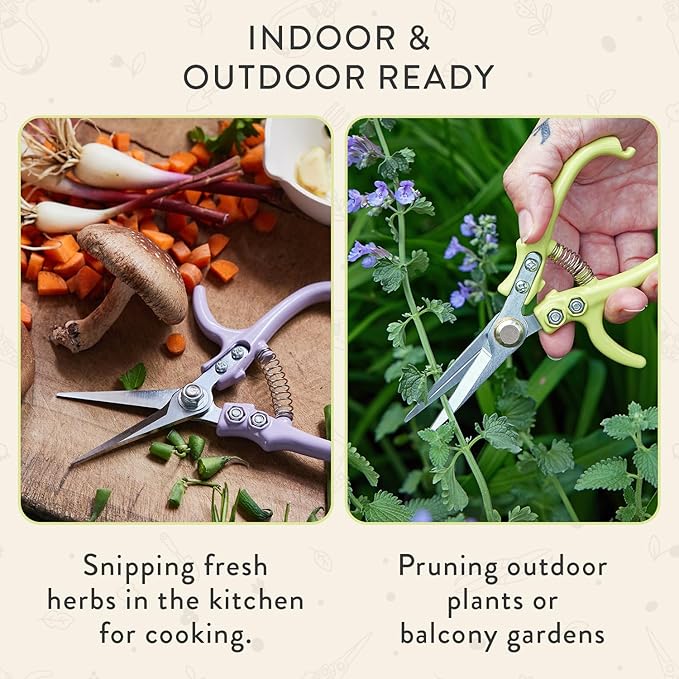 Modern Sprout Pruning Shears - Herb Snipping Scissors- Lightweight Gardening Tools W/Easy Lock- Flower Cutter Garden Shears-Gift for Father's Day-Carbon Steel Blade+Reusable Holster(Chartreuse,1-Pack)