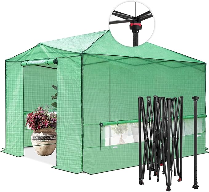 EAGLE PEAK 12x8 Portable Walk in Greenhouse, Pop Up Indoor Outdoor Greenhouse, Green House Kit with Zippered Roll-Up Doors, Windows + Support Pole, PE Cover, Clear/Green