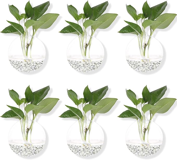 Hanging Wall Planters Pack of 6 Glass Plant Pots Round Wall Vases for Flowers Hanging Propagation Station Glass Plant Holder Wall Terrariums Plant Container