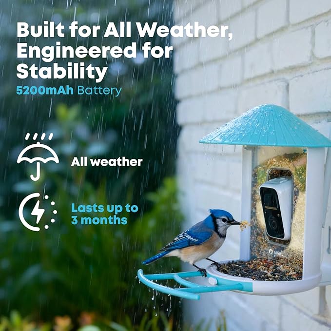 NETVUE by Birdfy Smart Bird Feeder with AI Camera, Auto Capture Videos & Live Stream, Wireless Wildbird Watching, Outdoor Backyard Birder(AI by Subscription) Blue