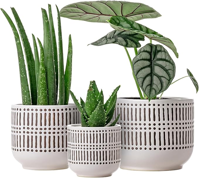 Docrin 3-Pack Ceramic Plant pots Set - 6.5"+5.3"+4" Dual-Tone Flower Pots with Drainage Holes, Modern Indoor Outdoor Planters for Succulents/Herbs/Large Plants, Home Office (Brownish Black & White)