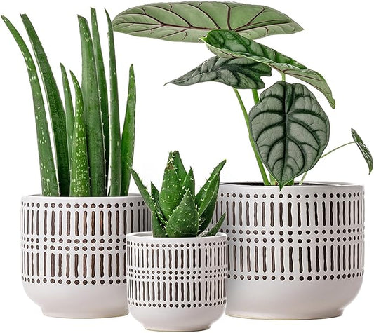 Docrin 3-Pack Ceramic Plant pots Set - 6.5"+5.3"+4" Dual-Tone Flower Pots with Drainage Holes, Modern Indoor Outdoor Planters for Succulents/Herbs/Large Plants, Home Office (Brownish Black & White)