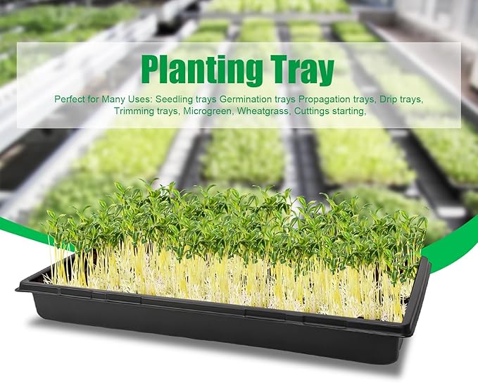 RooTrimmer Plant Growing Nursery, Standard 1020 Trays Plastic Sturdy Farmer Self Seedling Tray for Microgreens Indoor Nursery Pots Transplantation (5-Pack, 21.6"×11.2", 2.52" Deep, no Holes)