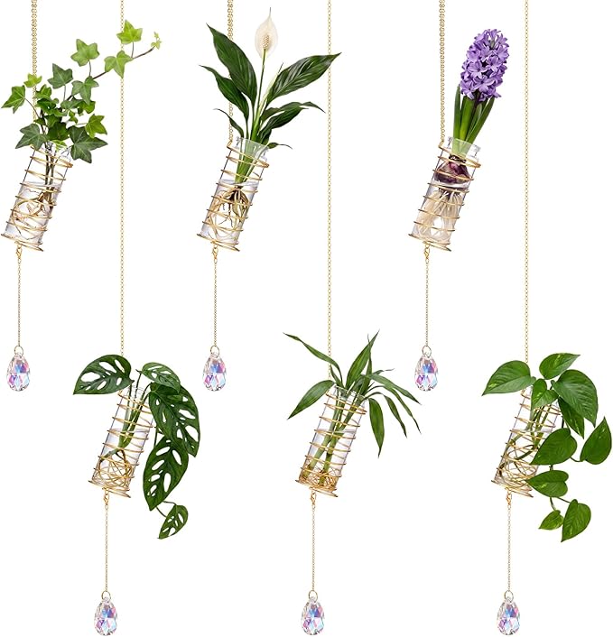 Sieral 6 Set Hanging Propagation Stations with Crystal Suncatchers Glass Propagation Station Planters with Metal Chain for Indoor Wall Hydroponic Propagated Plant Holder Home Decor Gift for Women