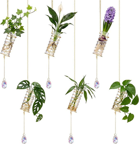 Sieral 6 Set Hanging Propagation Stations with Crystal Suncatchers Glass Propagation Station Planters with Metal Chain for Indoor Wall Hydroponic Propagated Plant Holder Home Decor Gift for Women