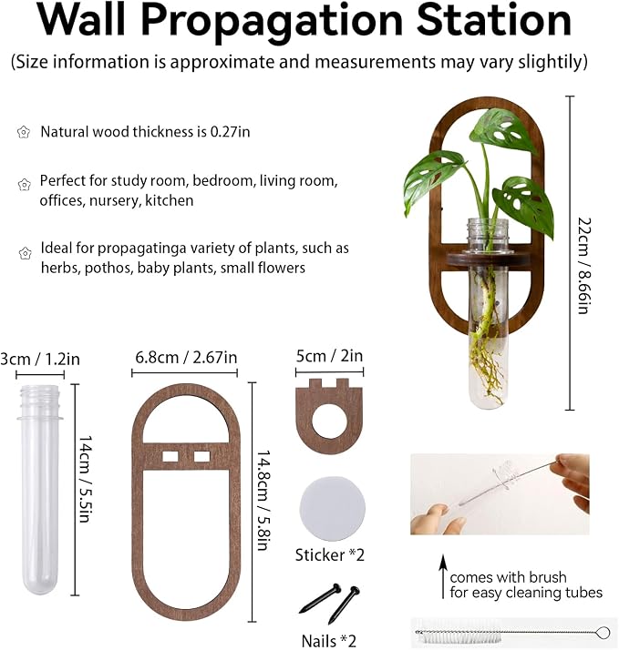 Artilady Plant Propagation Station 2 Pack Wall Hanging Plant Terrarium Holder with Test Tube Wood Window Planter Indoor Decor for Living Room Bedroom Kitchen (Oval)