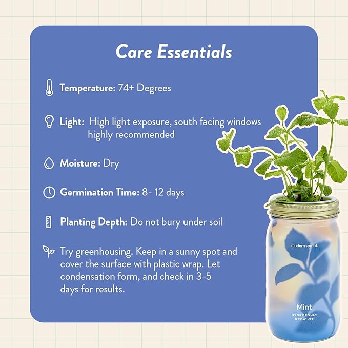 Modern Sprout Mason Garden Jar - Self-Watering Hydroponics Growing System Kit with Organic Herb Seeds - Jar Planter for Indoor Herb Garden - Seed Starter Kit - Home Decor - Gift for Mother's Day -Mint