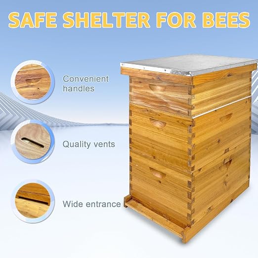 10 Frame Beehive Boxes, 3 Layer Langstroth Bee Hive Kit with 2 Deep Brood and 1 Medium Honey Super, 100% Beeswax Coated Wood Bee House, Professional Beekeeping Supplies - No Frames