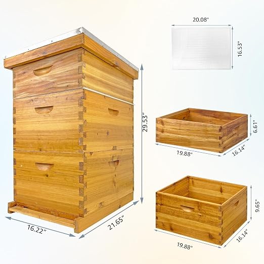 10 Frame Beehive Boxes, 3 Layer Langstroth Bee Hive Kit with 2 Deep Brood and 1 Medium Honey Super, 100% Beeswax Coated Wood Bee House, Professional Beekeeping Supplies - No Frames
