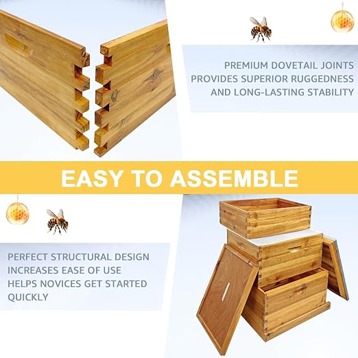 10 Frame Beehive Boxes, 3 Layer Langstroth Bee Hive Kit with 2 Deep Brood and 1 Medium Honey Super, 100% Beeswax Coated Wood Bee House, Professional Beekeeping Supplies - No Frames