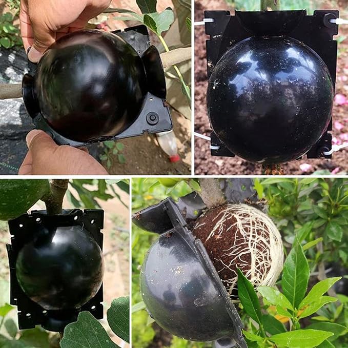 12 PCS Plant Root Growing Box, Reusable Air Layering Propagation Kit Rooting Ball Grafting Tools for Plant Propagation