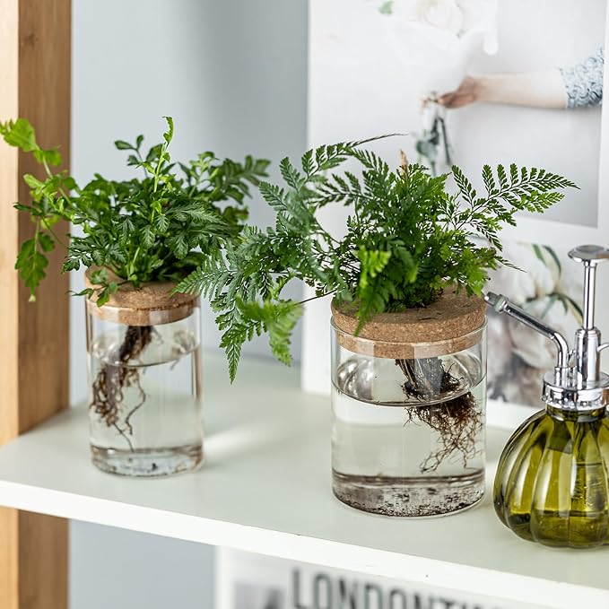 Plant Propagation Stations for Plants, 2 Size Glass Propagation Vases for Propagating Hydroponic Indoor Home Office Decor, Tabletop Glass Planter Gift for Plant Lovers (8)
