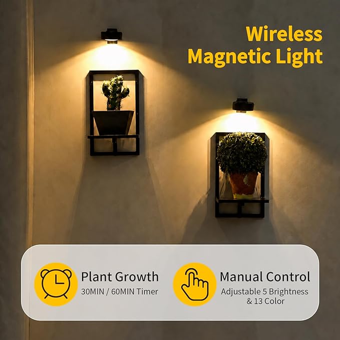 Wall Plant Holder with Grow Lights Set of 2 for Indoor Outdoor, Floating Flower Display Stand for Living Room, Bedroom, Bathroom, Kitchen, Entryway, White (2, Black)