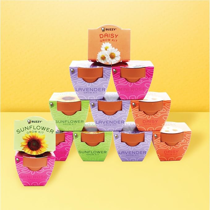 Buzzy Seeds Bright Series Grow Kit, Assorted 12-Pack - Mini Terracotta Pot Grow Set - Complete Indoor/Outdoor Gardening Kit with Seeds, Coconut Husk Growing Medium & Genuine Pots - 100% Grow Guarantee