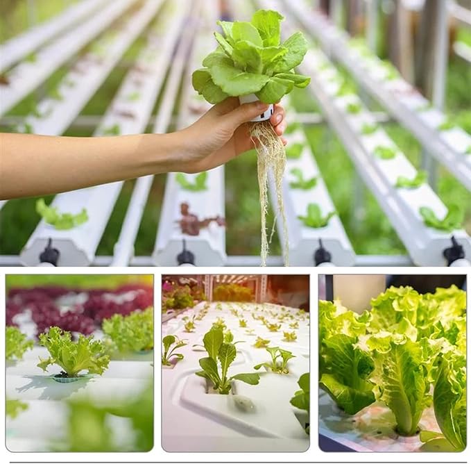 50PCS 1.75" Mesh Net Cup Pots Basket Hydroponics System Supplies Aquaponics Seed Growing Media White