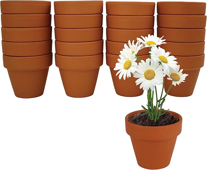 BUZZY Seeds Daisy Grow Kit, Bulk 20-Pack - Mini Terracotta Pot Grow Set - Complete Indoor/Outdoor Gardening Kit with Seeds, Coconut Husk Growing Medium & Genuine Pots - 100% Grow Guarantee