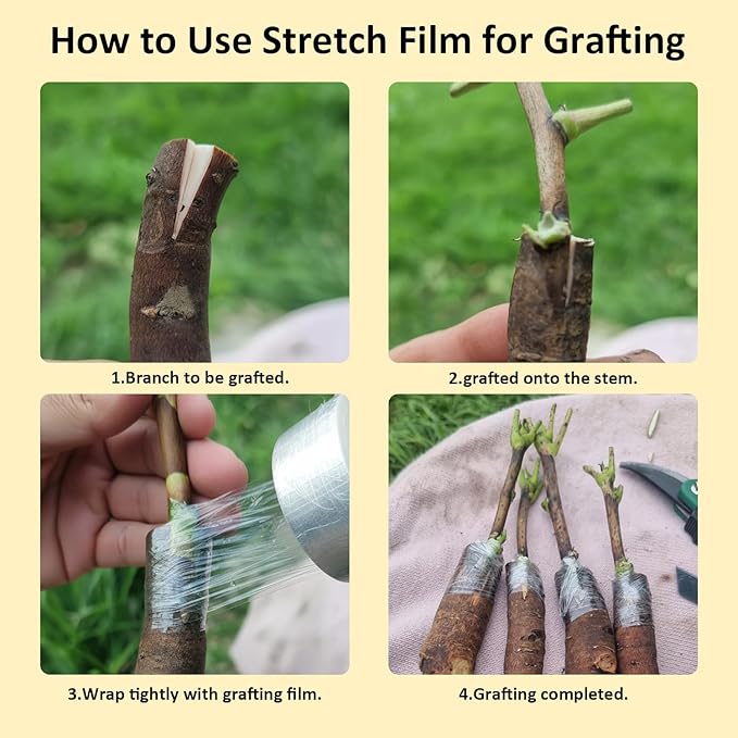 Grafting Tape 3 Pack – Stretchable Self-Adhesive Plant Grafting Film, Budding & Nursery Repair Tape for Fruit Trees, Floral Plants, Garden Stem Fix & Plant Support (Clear)