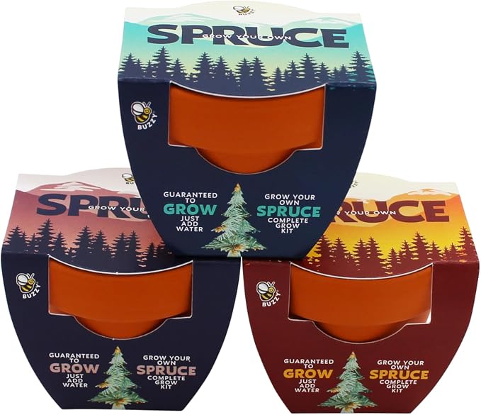 BUZZY Seeds Spruce Tree Grow Kit 12-Pack - Mini Terracotta Pot Grow Set - Complete Indoor/Outdoor Gardening Kit with Seeds, Coconut Husk Growing Medium & Genuine Pots - 100% Grow Guarantee