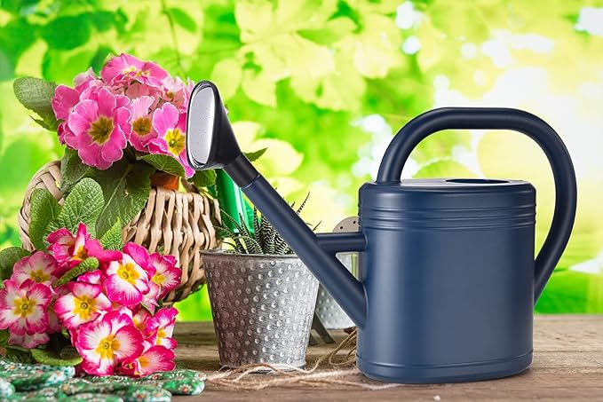 Watering Can 1 Gallon for Garden, Indoor Plants, Outdoor Plant House Flower, Large Long Spout with Sprinkler Head (Grey)