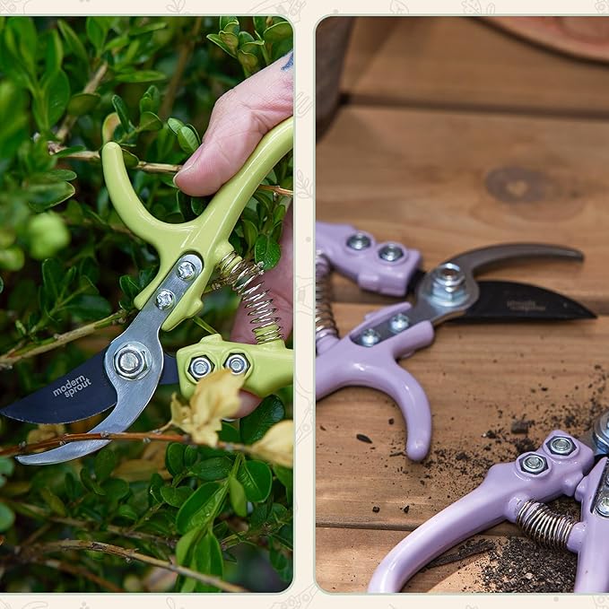 Modern Sprout Hand Pruners - Lightweight Pruning Shears W/Easy Lock- Gardening Scissors - Bypass Sharp Carbon Steel Blade- Rust Resistant -Garden Tools - Reusable Holster - Gift for Father's Day -Sage