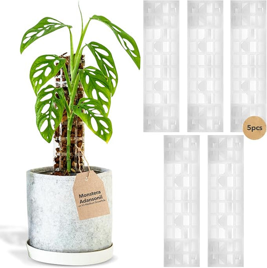 THICCLY V2 GrowPole Medium 5 Pcs – Patented D-Shape Moss Pole for Climbing Plants, Moisture-Locking Closed Back, Stackable Monstera & Philodendron Support