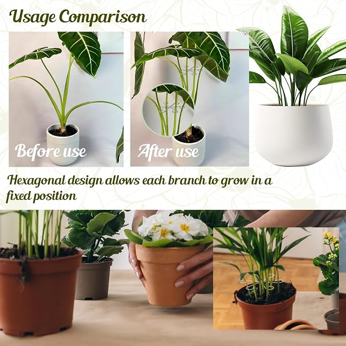 16 Pack Adjustable Indoor Plant Support Stakes, Reusable Plastic Stem Holders & Trellis for Monstera, Pothos, Vines Vertical Growth Air Circulation Stable Stem Support (Clear)