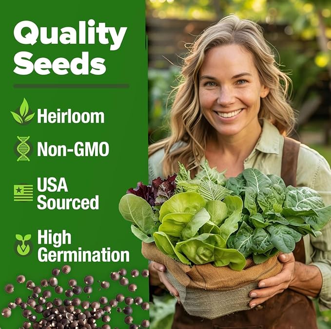 OME Grown 20 Variety Lettuce Seeds 21,500+ Bulk Pack Heirloom Non-GMO, High Germination, Romaine,Butterhead, Spinach, Kale, Iceberg, Continuous Harvest,Indoor Outdoor Hydroponic Garden