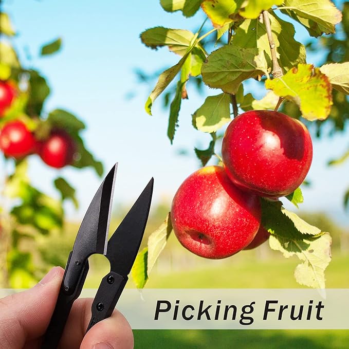 Bonsai Pruning Scissors 12PCS - Small Pruning Shears Bud Leaves Trimmer Garden Shears for Plants, Gardening Clippers for Flower Bonsai Trimming Pruners