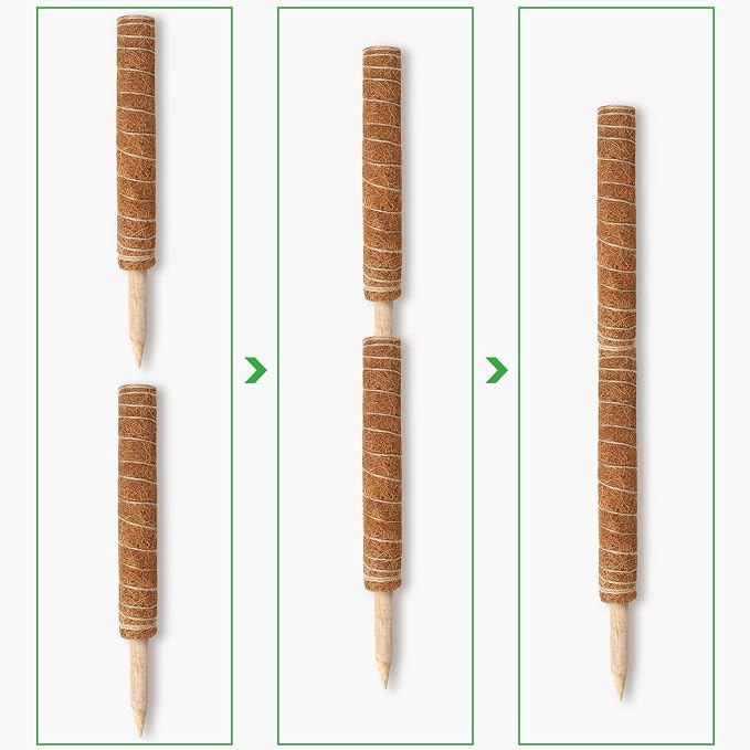 Augshy Moss Pole, 27 Inch Moss Poles - 2Pcs 17 Inch Plant Stakes Moss Sticks for Monstera Indoor Creepers Plant Support Extension Climbing Plants