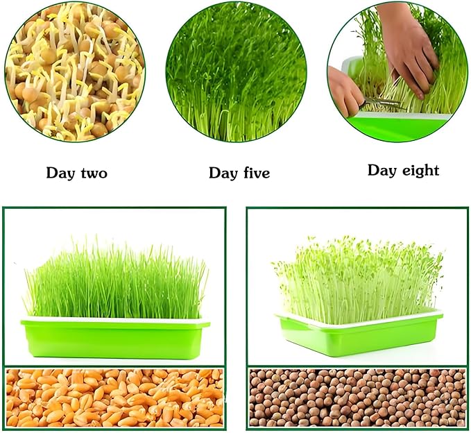 4 Pcs Seed Sprouting Mesh, Reusable Hydroponic Germination Pads for Microgreens Growing, 7.9" x 11.8" Silicone Seed Sprouting Mats, Trays NOT Included